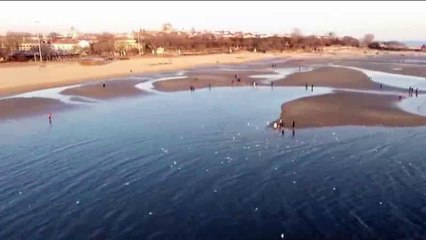Tens of thousands of migrating seagulls gather on wetland in northern China