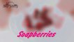 DIY Soap berries - How to make soap embeds - Soap making-ImJQQZ