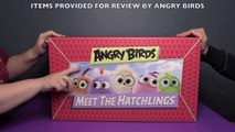 Angry Birds Meet The Hatchlings HUGE Surprise Toys Unboxing! _ Bin's Toy Bin-4dg