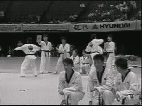 Korean Tigers ( taekwondo )