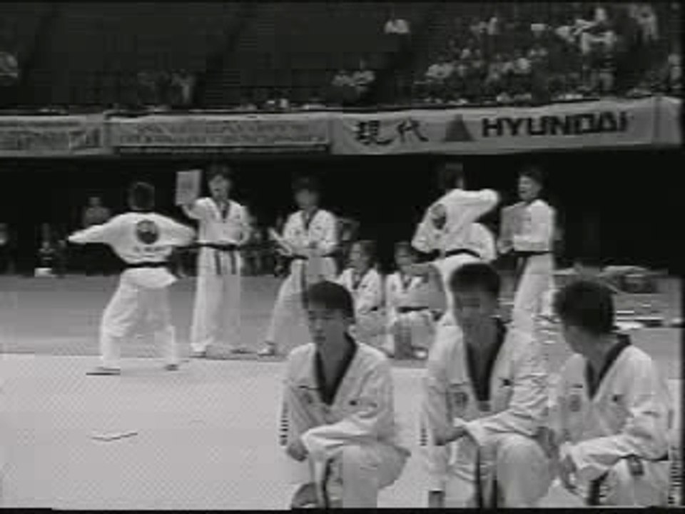 Korean Tigers ( taekwondo )