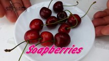DIY Soap berries - How to make soap embeds - Soap making-I