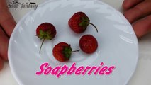 DIY Soap berries - How to make soap embeds - Soap making-Im