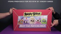 Angry Birds Meet The Hatchlings HUGE Surprise Toys Unboxing! _ Bin's Toy Bin-4dgSIpg8