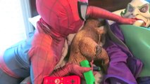 Spiderman vs Joker vs Frozen Elsa - Spiderman Puppet! - Pink Spidergirl, Poison Ivy - Fun Superhero-E