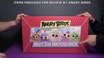 Angry Birds Meet The Hatchlings HUGE Surprise Toys Unboxing! _ Bin's Toy Bin-4dgSI