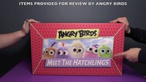 Angry Birds Meet The Hatchlings HUGE Surprise Toys Unboxing! _ Bin's Toy Bin-4dgSIpg