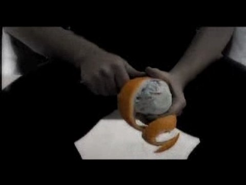 Ozan Açiktan - Antalya Film Festivali - Fellini