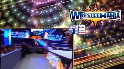 Roman Reings vs The Undertaker - HD FULL MATCH - Wrestlemania 33
