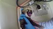 Cheetahs give birth to ten cubs at Smithsonian _2017