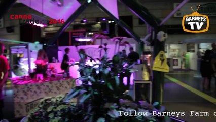 Cannatrade 2016 - Barneys Farm at Zurich, Switzerland
