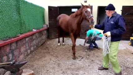 Güzel Atlar Ülkesi"Nin Nalbantı