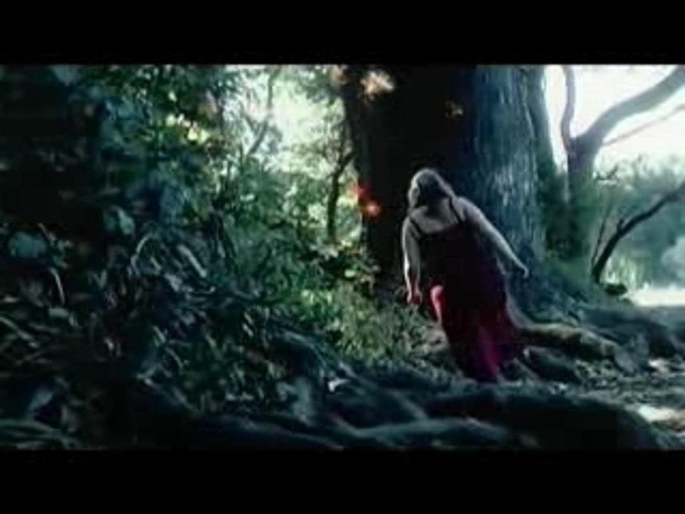 FireFly