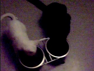 Blacky et whity mange ensemble