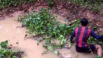 Wow! Amazing children and his brothers catch and cook water frog with bare hand in his village-J3-rgd