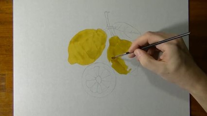 Drawing of some lemons - How to draw 3D Art-CGhsss8W