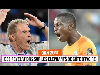 CAN 2017 : Des révélations étranges sur les éléphants