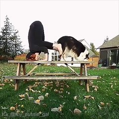 OMG, I'm obsessed with this cute - Exploring Beauty