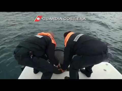 Pesca di frodo, operazione della Guardia Costiera