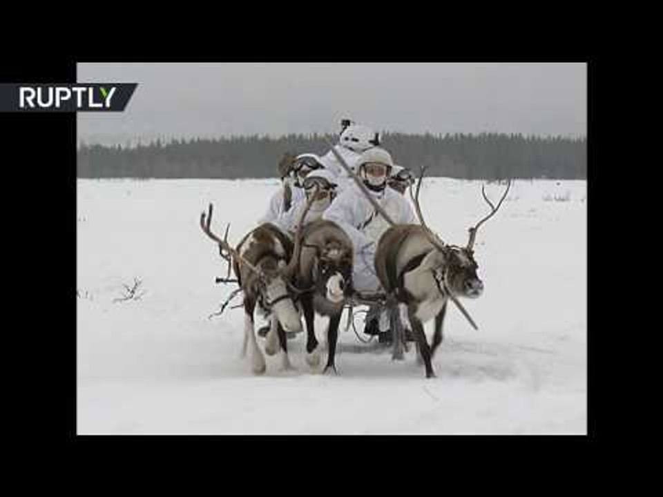 Arctic power: Reindeers & huskies take part in Russian troop drills