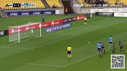 Bobo Goal HD - Wellington Phoenix - Sydney FC 0-1 (08-04-2017)