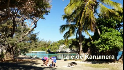 Île des Pins, le rêve !