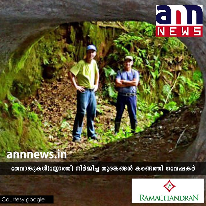 മനുഷ്യരല്ല...ഈ തുരങ്കങ്ങളുടെ എഞ്ചിനീയര്‍ #AnweshanamScience