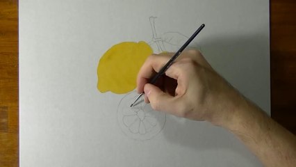 Drawing of some lemons - How to draw 3D Art-CGh