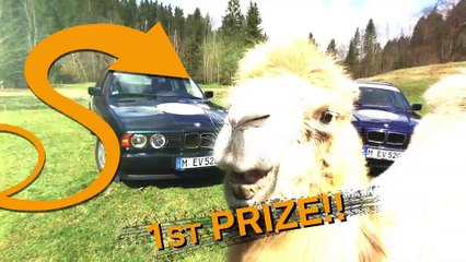 BMW - Allgäu Orient Rallye 2017 - Feature including team introduction 5EVER