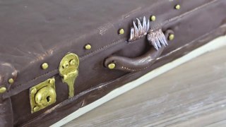 Newt Scamander's Suitcase CAKE - Fantastic Beasts & Where To Find Them _ CarlyToffle-9P