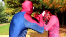 Frozen Elsa, Anna & Rapzunel Become SUPERHEROES! w  Spiderman Spidergirl Superman TOYS Superhe