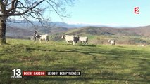 Bœuf gascon : le goût des Pyrénées