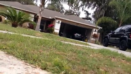 Un alligator dans les égouts de la ville !