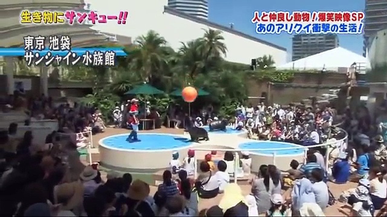 トコトン掘り下げ隊！生き物にサンキュー 8月31日 160831
