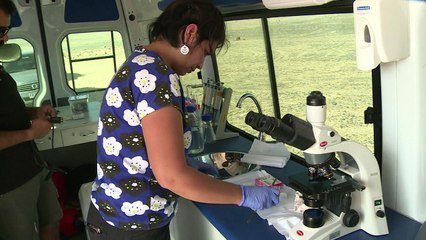 El desierto de Atacama, campo de prueba para Marte