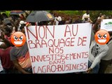 AgroBusiness-Côte d'Ivoire : Coup de Gueule d'un souscripteur