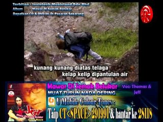 Thomas & Jeff - Mawar Di Semak Belukar