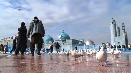 المسجد الأزرق أحد أشهر المساجد التاريخية بأفغانستان