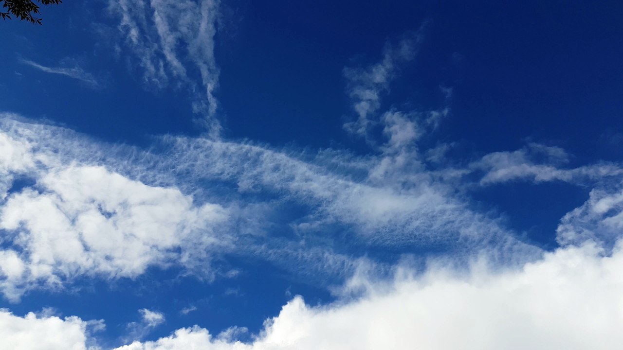 Sky
