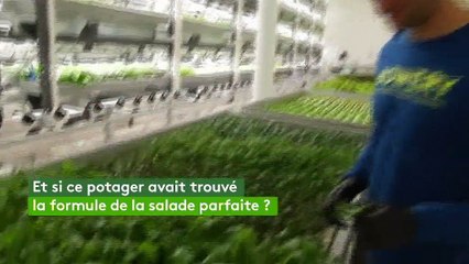 New York : l’usine à salades, la formule parfaite ?