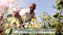 Public Service message for farmers from Punjab Agriculture Department