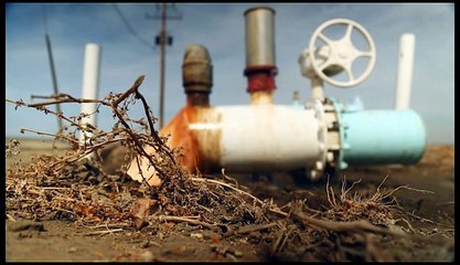 L’amande, responsable d’un désastre écologique ? Dimanche 9 avril