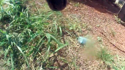 PaintBall-Macabros-Goiania