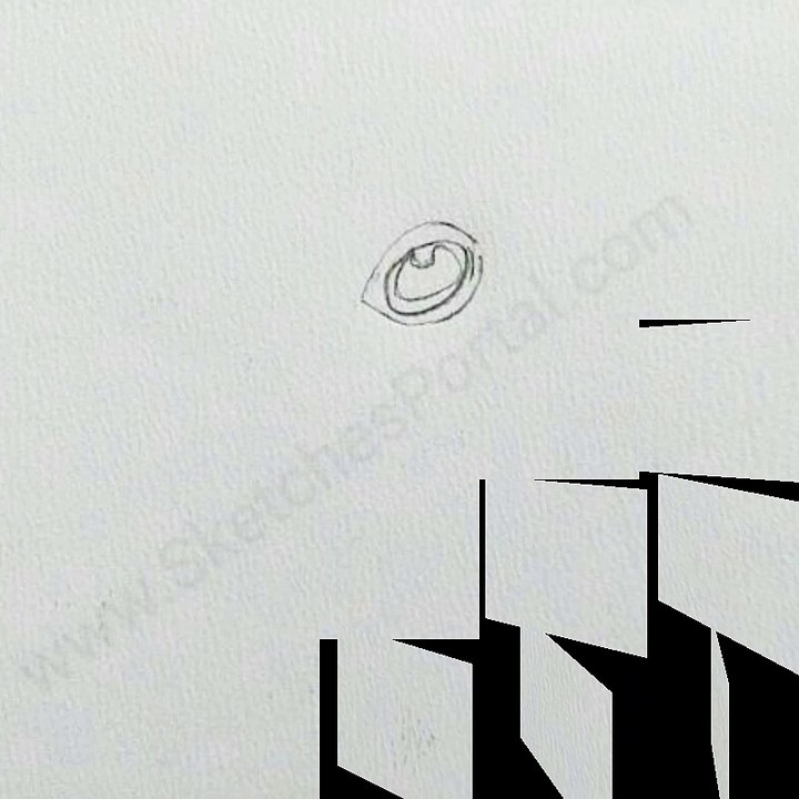 How to draw a frog in 12 steps