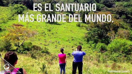 Santuario de Perros de Costa Rica