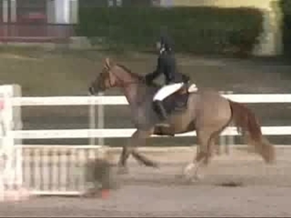 Chute