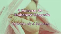 4 Semanas de Embarazo - Ecografía 4 Semanas de Gestación-J5gA