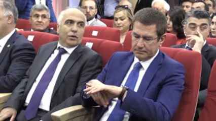 Başbakan Yardımcısı Canikli