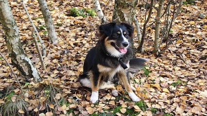 『아 달』 남양주오피 남양주건마 남양주휴게텔 남양주키스방 남양주마사지