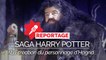 Saga Harry Potter : mais comment le personnage d'Hagrid a-t-il été créé ?